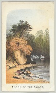 Příbytek labutí, ze série, Pohledy v Central Parku, New York, část 2, 1864.