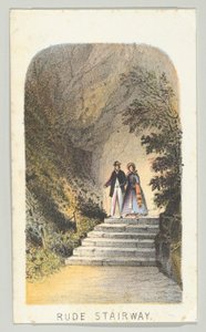Rude Stairway, ze série, Pohledy v Central Parku, New York, část 2, 1864.