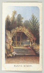 Rustic Bower, ze série, Views in Central Park, New York, část 3, 1864.