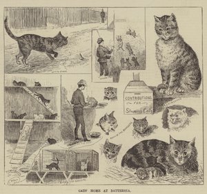Kočičí domov v Battersea od Louis Wain