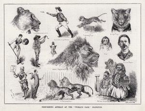 Závěsný od Louis Wain