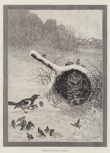 Vlastnictví je devět bodů zákona od Louis Wain