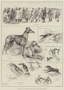 Náčrtky na Waterloo Coursing Meeting, Altcar, poblíž Liverpoolu (rytina) od Louis Wain