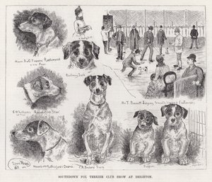 Southdown Fox Terrier Club Show v Brightonu (rytina) od Louis Wain