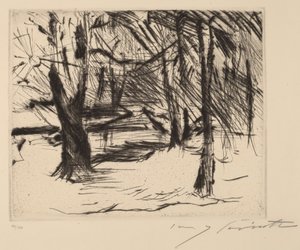Stromy na slunci od Lovis Corinth
