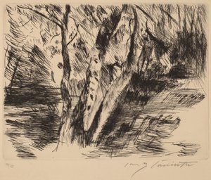 Břízy v Tiergarten, 1920-1921. od Lovis Corinth
