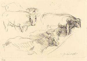 krávy od Lovis Corinth