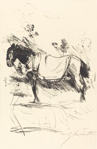 Jezdecký kůň Reitpferd, 1916. od Lovis Corinth
