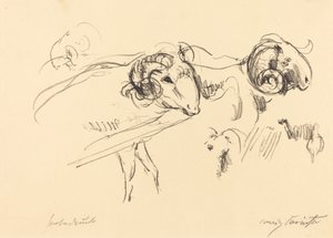 Schafböcke (Berani) od Lovis Corinth