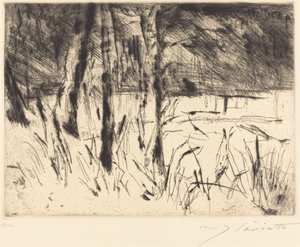 Zoologická zahrada Tiergarten, 1922. od Lovis Corinth