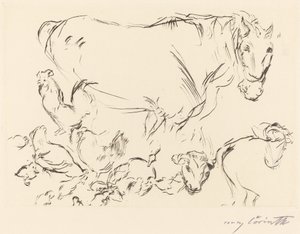Různé studie na zvířatech od Lovis Corinth