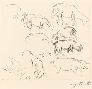 Různé studie na zvířatech Studie na zvířatech, 1917. od Lovis Corinth