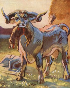 Ilustrace k příběhům Guye z Warwicku (barevná litografie)