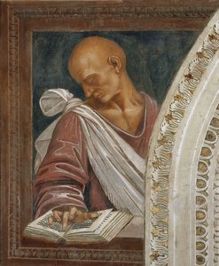Homer, c. 1500. od Luca Signorelli