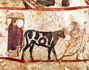 Býk vede na obětním oltáři lucanská freska ze 4. století př. n. l. z nekropole Andriuolo v italském Paestu. Museo nazionale archeologico, Paestum