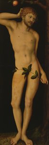Adam, 1528 od Lucas Cranach the Elder