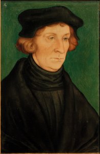 Portrét učence (Otto Brunfels) od Lucas Cranach the Elder
