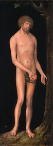 Německy: Adam Adam od Lucas Cranach the Elder