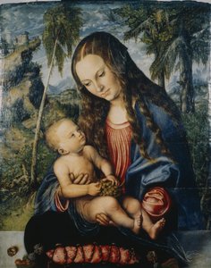 Madona pod jedlí, kolem roku 1510