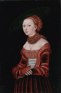 Portrét mladé ženy


































" od Lucas Cranach the Elder