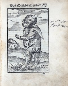 Mnich Tele z Freibergu (Das Moenchkalb zu Freiberg), Cranach, Lucas, starší (1472-1553). dřevoryt od Lucas the Elder Cranach