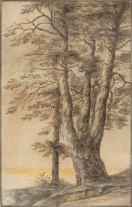 Studium stromů od Lucas van Uden