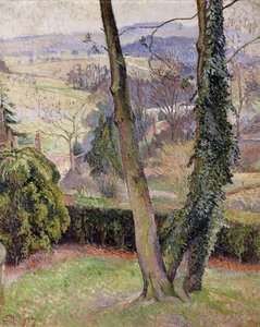 Frost and Mist, Summerleaze, East Knoyle od Lucien Pissarro