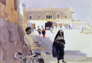 Ve stínu od Lucy Willis