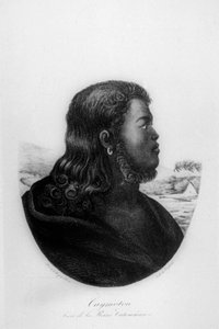 Náčelník Kalanimoku, 1816
