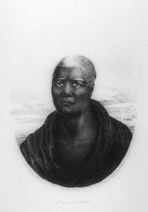Kamehameha I, Havaj, 1816