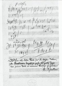 Poslední stránka hudby německého skladatele Ludwiga van Beethovena (1770-1827)