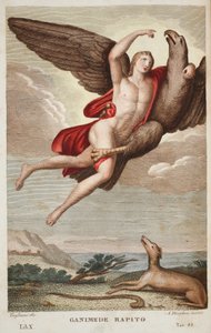 Ganymede odveden do nebe nebo Ganimede Rapito, Kniha X, ilustrace z Ovidiových Metamorfóz, Florencie, 1832 (ručně kolorovaná rytina) od Luigi Ademollo