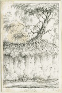 Dudley - Strom: litografie, nd [c 1825] (tisk) od Luke Booker