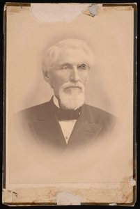 Portrét Otho Robards Singleton 1814-1889, před rokem 1889. od Luke C Dillon