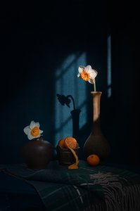 Narcisy, citrusy a stíny