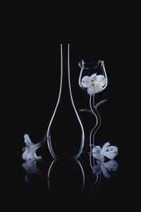 Elegantní skleněné orchideje od Lydia Jacobs