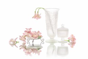 Elegantní odraz růžových květin od Lydia Jacobs