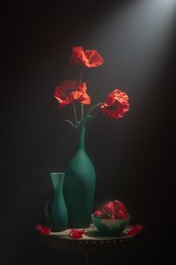 Elegantní zátiší s máky od Lydia Jacobs