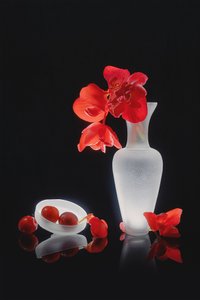 Elegantní červené zátiší od Lydia Jacobs