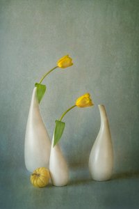 Elegantní zátiší se žlutými tulipány od Lydia Jacobs