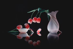 Zářící odraz tulipánů od Lydia Jacobs