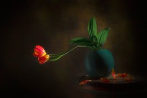 Zátiší s půvabnými tulipány od Lydia Jacobs