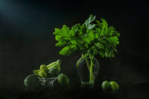 Bujné botanické zátiší od Lydia Jacobs