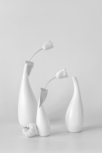 Minimalistické bílé tulipány od Lydia Jacobs