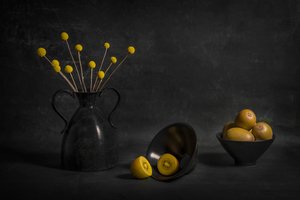 Náladové zlaté kiwi a květiny od Lydia Jacobs