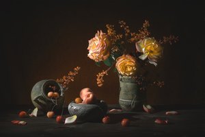 Náladové růže a ovoce od Lydia Jacobs