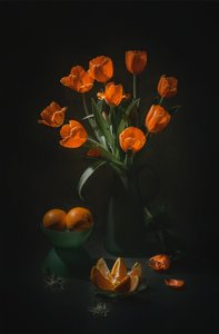 Zátiší s oranžovými tulipány