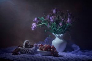 Zátiší s fialovými tulipány od Lydia Jacobs