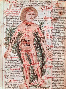 Medicína: vliv zvěrokruhu na lidské nemoci (Miniatura od M Albik