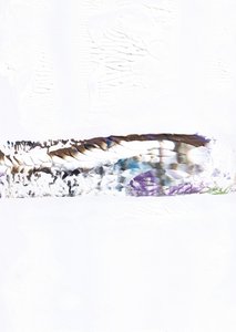 Abstraktní směs Horizon od Maira Ribena